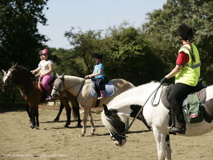 New Forest horse riding essons in the arena