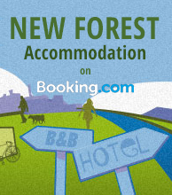 New Forest Accommodation on Booking com