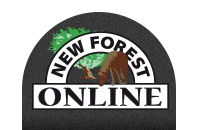 New Forest Online