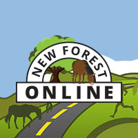 (c) Newforest-online.co.uk