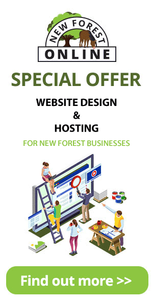 Website Designers in the New Forest