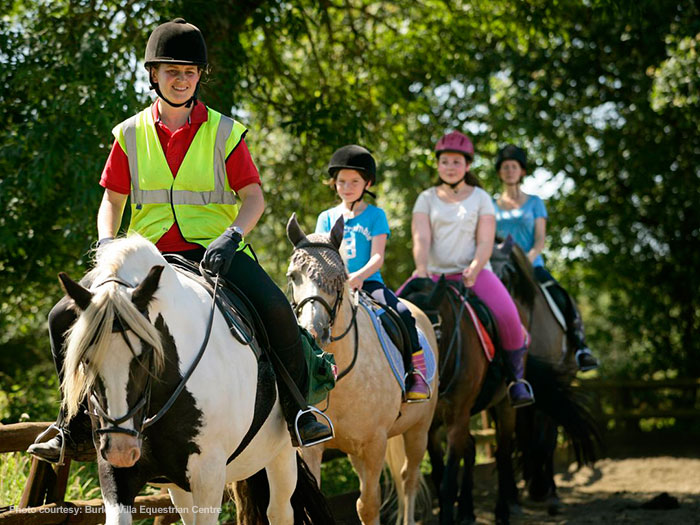 Horseriding in the New Forest