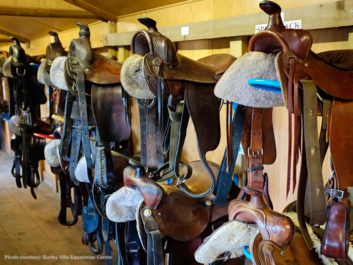 Horse saddle selection