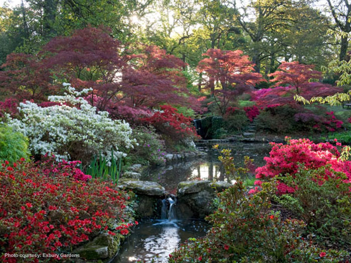 Peace, relaxation and tranquility at Exbury Gardens