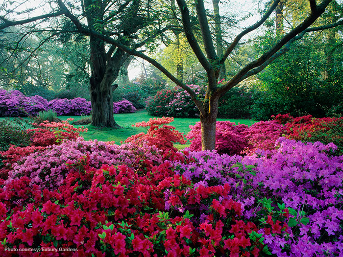 Beautiful colours at Exbury Gardens