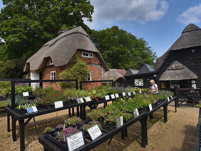 Plant Sales