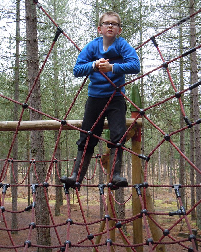 One of the Moors Valley climbing frames