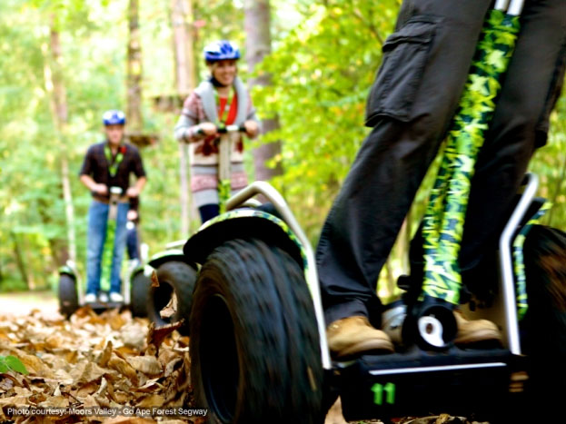 Moors Valley - Go Ape Forest segway