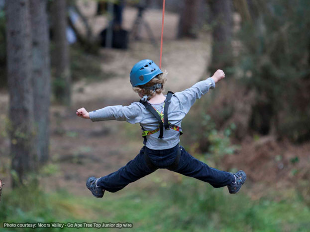 Moors Valley Go Ape - Tree Top Junior zip wire