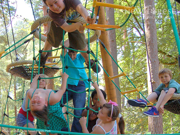 Climbing nests at the New Forest Wildlife Park