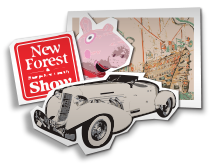 New Forest Events and Attractions