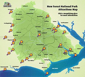 New Forest Attractions