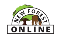 Happy Christmas from all at New Forest Online