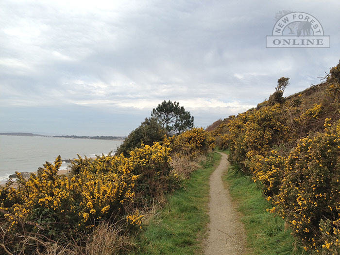 Coastal path near New Milton