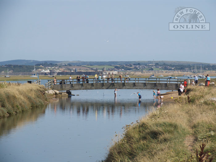 The bridge linking Saltgrass Lane with Hurst Spit