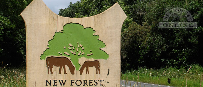 new forest tourist board