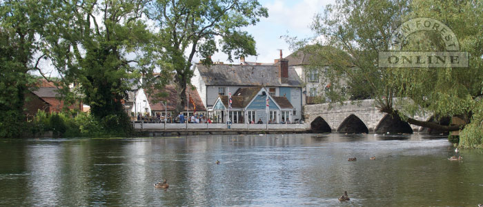 New Forest Towns and Villages