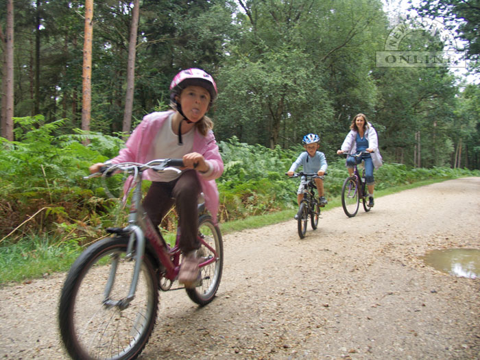 Bike Ride in the New Forest