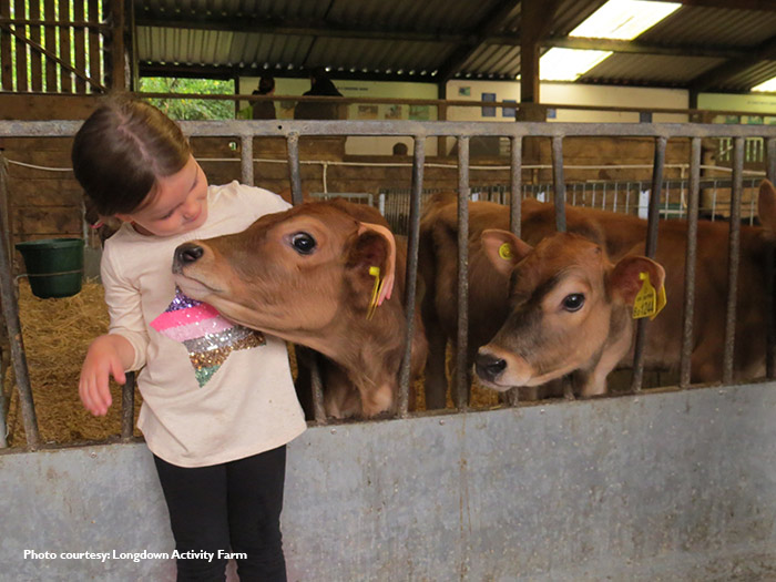 Longdown Activity Farm Cows