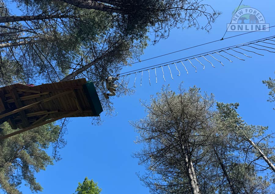 Go Ape at Moors Valley Go Ape at Moors Valley