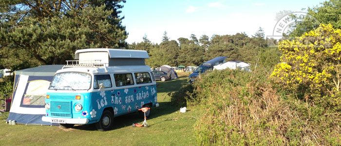 Camping in the New Forest